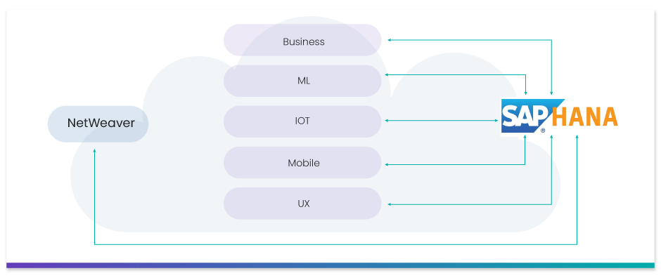 SAP HANA Netweaver